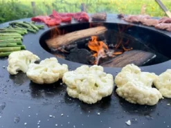 Bonfeu BonBiza Vuurschaal Bbq - Corten 16 Bonfeu BonBiza Vuurschaal Bbq - Corten -Intex VERKAUF 550x412 1