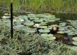 Velda Ultra Protector Reigerverjager -Intex VERKAUF 866 1200 6530fad76a3d201f233898a046ec7938