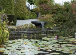 Velda Pond Bowl Filter Waterornament -Intex VERKAUF 900 1247 861253315e2feda2fd0efc32e4195ab6