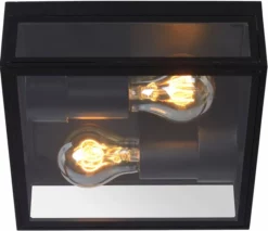 Lucide Dukan E27 Plafondlamp - Zwart