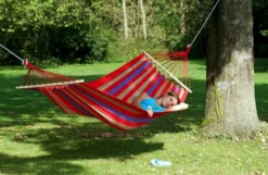 Amazonas Aruba 2 Persoons Hangmat - Rood 7 Amazonas Aruba 2 Persoons Hangmat - Rood -Intex VERKAUF a101 04 op 01 p resultaat