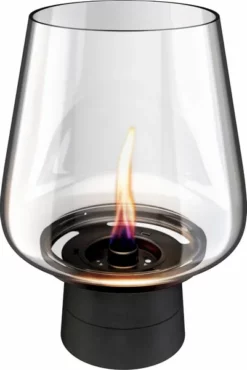 Tenderflame Amaryllis 25 Tafelhaard - Zwart