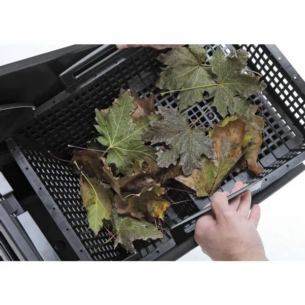 Oase Biosys Skimmer + 4 Oase Biosys Skimmer + - Afbeelding 4