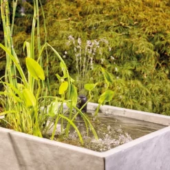 Oase Filtral UVC 9000 Vijverfilter 20 Oase Filtral UVC 9000 Vijverfilter -Intex VERKAUF oase filtral uvc 1500 vijverfilter 4 1 1